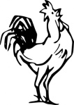 outline_farm_bird_rooster_hen_chicken_animal_poultry_calling_roosters